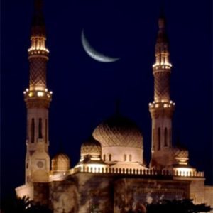Jumeirah Mosque - Image 7